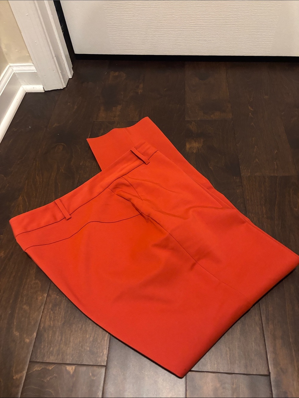 Chaus Burnt Orange Pant
